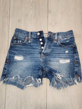 Free People We The Free Denim Cut off Shorts